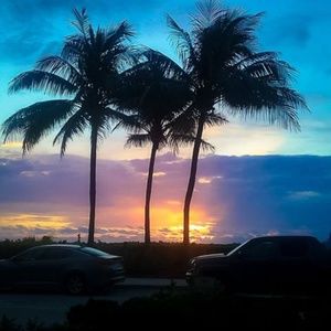 Meet your Posher, Ell!